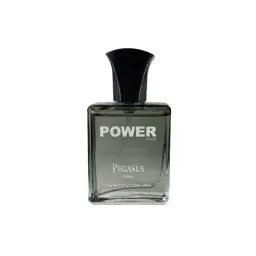 عطر مردانه مینی مدل مارلی پگاسوس حجم 25 میل پاور پالس