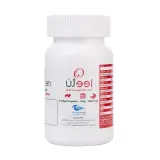 کپسول ژلاتینی اووژن بسته 60 عددی اروند فارمد
