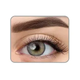 لنز چشم رنگی مدل Dark Gray 2 آرین