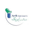 لوگوی برند آیریک