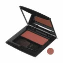 رژگونه پودری مدل Pink Rose کد 02 وزن 7 گرم این لی