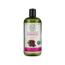 شامپو تقویت کننده موهای رنگ شده مدل Pomegranate & Acai حجم 475 میل پتال فرش