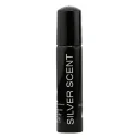 عطر جیبی مردانه مدل Silver Scent حجم 30 میل نایس