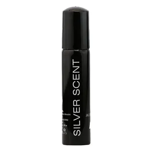 عطر جیبی مردانه مدل Silver Scent حجم 30 میل نایس
