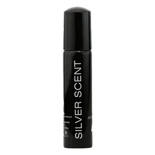 عطر جیبی مردانه مدل Silver Scent حجم 30 میل نایس