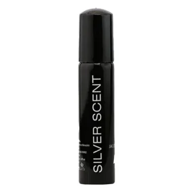 عطر جیبی مردانه مدل Silver Scent حجم 30 میل نایس