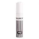 عطر جیبی مردانه مدل Salvador حجم 30 میل نایس