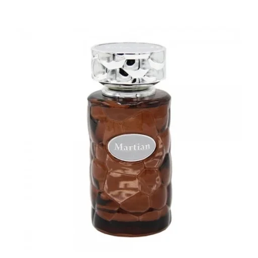 عطر مردانه مارتین حجم 100 میل ورسای