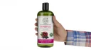 شامپو تقویت کننده موهای رنگ شده مدل Pomegranate & Acai حجم 475 میل پتال فرش