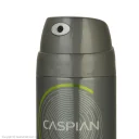 اسپری دئودورانت بدن مردانه Deep Wild حجم 150 میل کاسپین