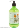 مایع دستشویی آروما تراپی چای سیاه و گل همیشه بهار حجم 500 میل هندولوژی