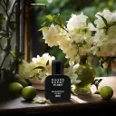 عطر جیبی مردانه مدل Silver Scent حجم 35 میل اسکلاره