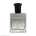 عطر مردانه مینی مولکول حجم 25 میل عطر پاور پالس