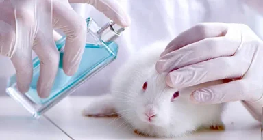 درخواست جلوگیری از تست حیوانی در صنعت تولید محصولات آرایشی و بهداشتی