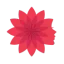 نشاط رخ
