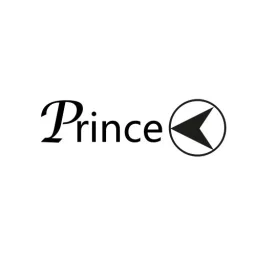 پرینس | Prince