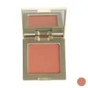 رژگونه ویتامینه مات کد S02 آر تی اس