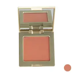 رژگونه ویتامینه مات وزن 12 گرم آر تی اس