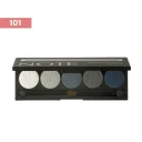 سایه چشم کد 101 پروفشنال 10 گرم نوت