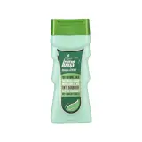 شامپو ضد شوره مدل Anti Dandruff مناسب موهای نرمال حجم 250 میل آی پلاس