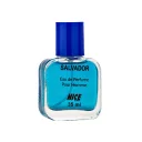 عطر جیبی مردانه مدل Salvador حجم 35 میل نایس