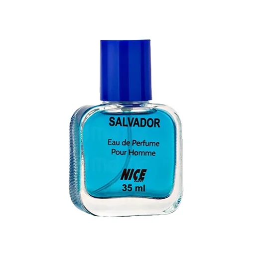 عطر جیبی مردانه مدل Salvador حجم 35 میل نایس