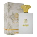 ادکلن مردانه طرح مارک مدل Amouage Honour حجم 100 میل اسکلاره