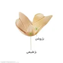 کرم ضدجوش رنگی بژ روشن حجم 35 میل ژیناژن